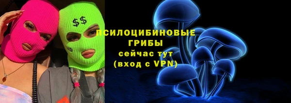 прущая мука Алзамай