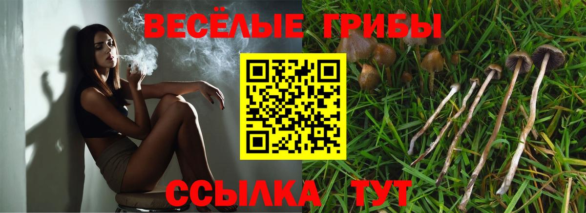 Галлюциногенные грибы Magic Shrooms Каменск-Уральский