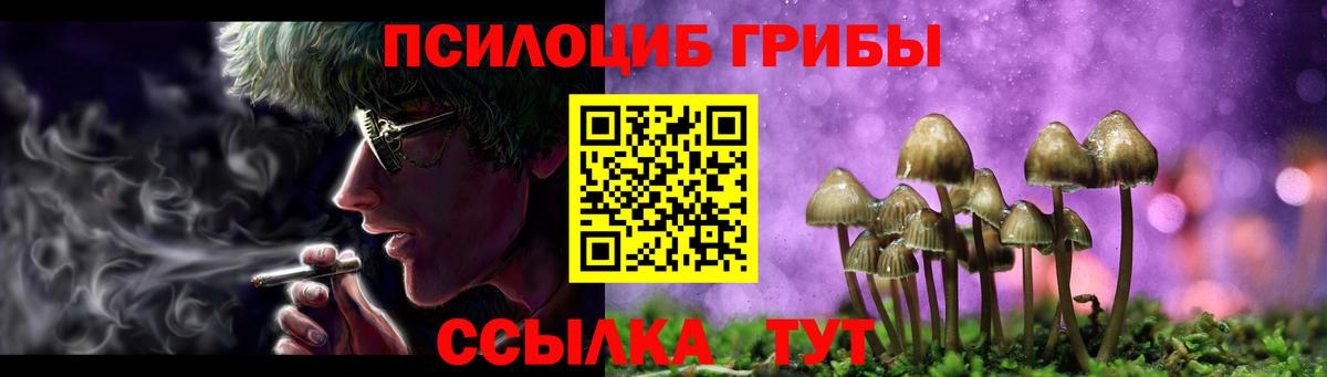 Псилоцибиновые грибы ЛСД  Вход с VPN  Псилоцибиновые грибы Psilocybe  Каменск-Уральский 